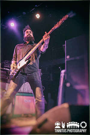 Gozu in concert