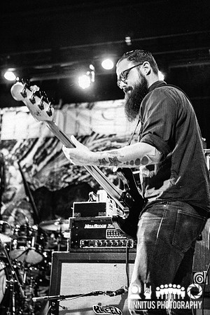 Gozu in concert