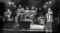 Gozu in concert