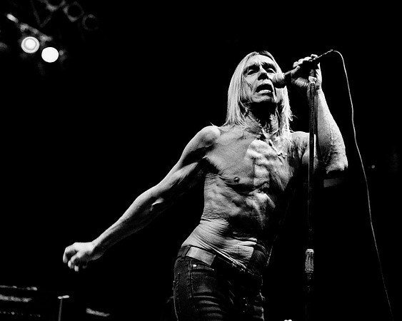 The Stooges in concert