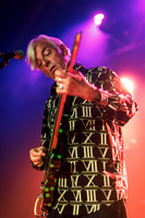 Robyn Hitchcock in concert