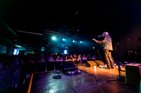 Robyn Hitchcock in concert