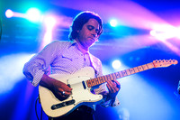 Robyn Hitchcock in concert