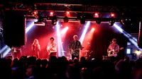 Robyn Hitchcock in concert