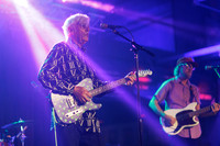 Robyn Hitchcock in concert
