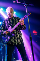 Robyn Hitchcock in concert