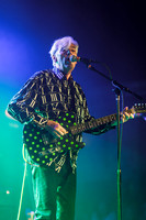Robyn Hitchcock in concert