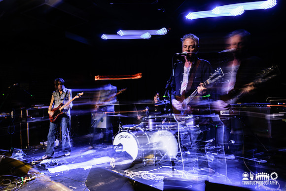 Lupo Citta in concert