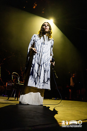 PJ Harvey in concert
