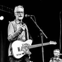 Billy Bragg in concert