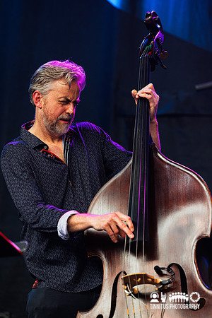 The Consentrik Quartet in concert