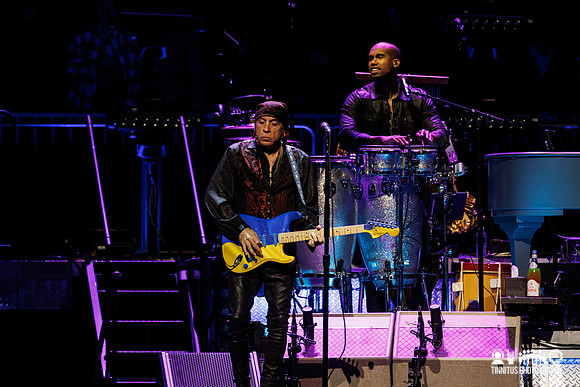 Bruce Springsteen in concert