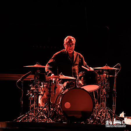 Bruce Springsteen in concert