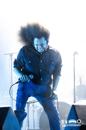 Early Moods in concert