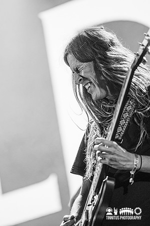 Elder in concert
