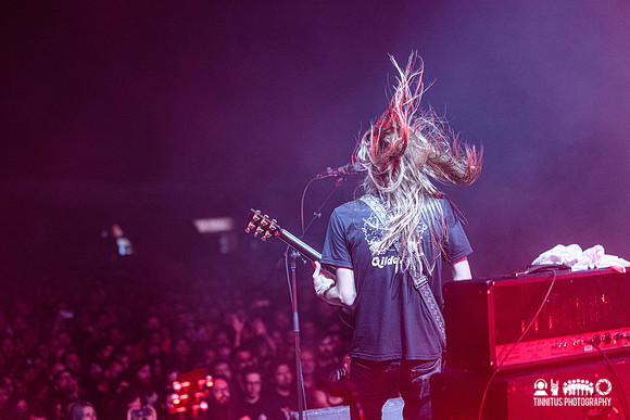 Elder in concert