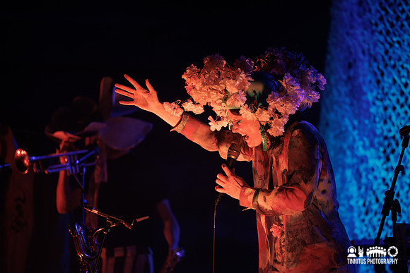 Rubblebucket in concert