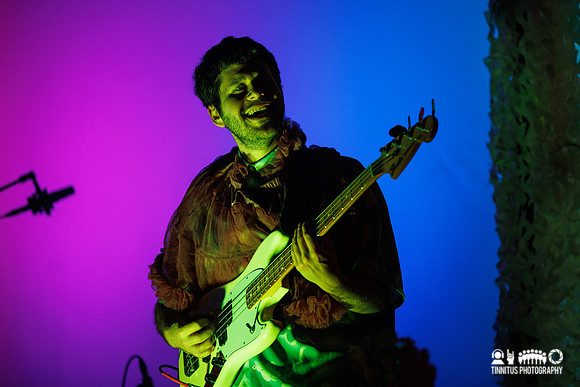Rubblebucket in concert
