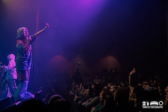 Rubblebucket in concert