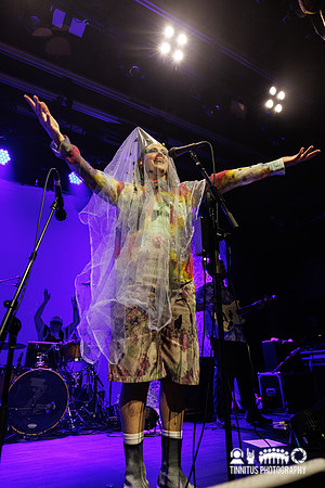 Rubblebucket in concert
