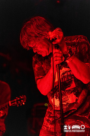 The Gotobeds in concert
