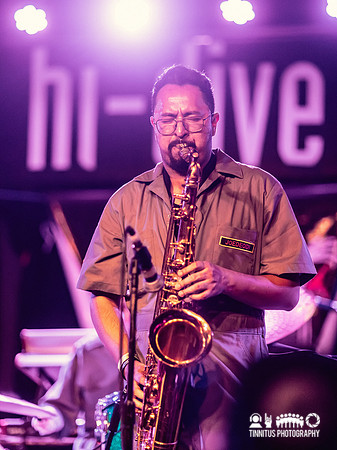Dust Congress in concert
