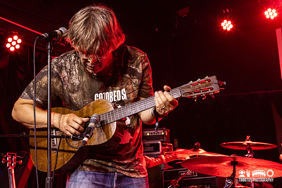 Silkworm in concert