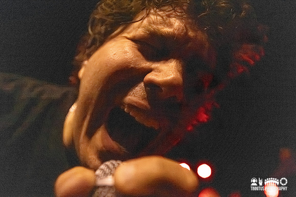 Silkworm in concert