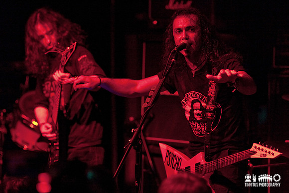 Acrassicauda in concert