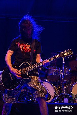 Righteous Pigs in concert