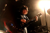 Rhododendron in concert