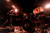 Rhododendron in concert