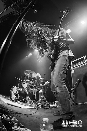 Elder in concert