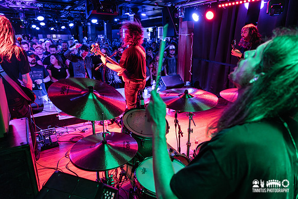 Elder in concert