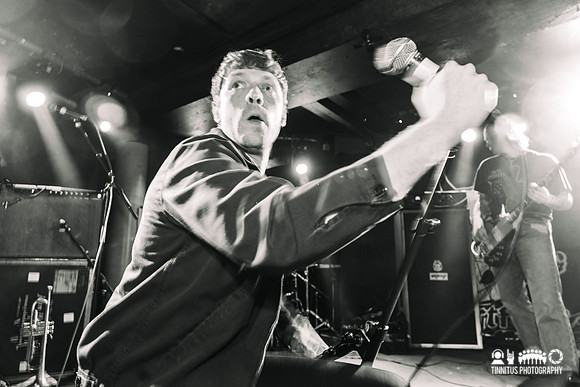 Bad Breeding in concert