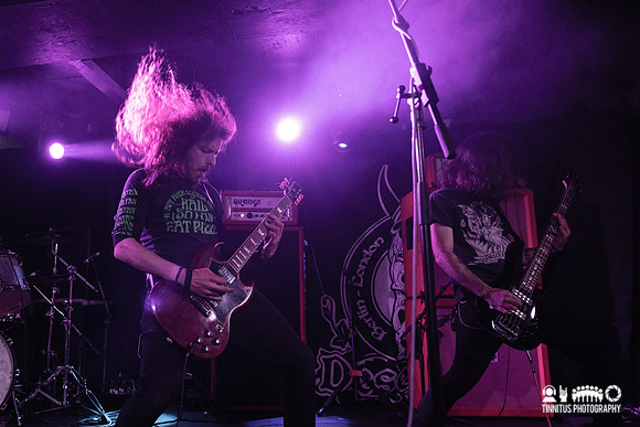 Acid Mammoth in concert