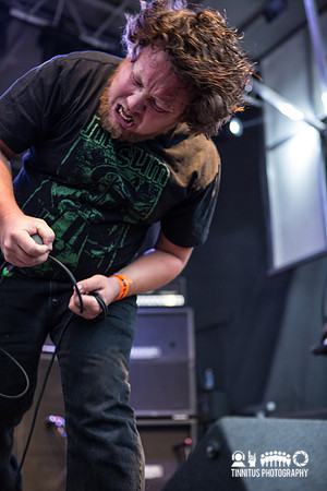 Pig Destroyer in concert