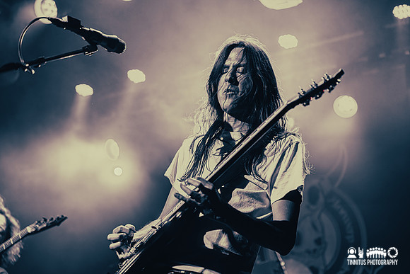 Elder in concert