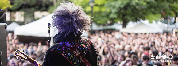 Melvins in concert
