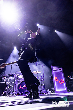 Franz Ferdinand in concert