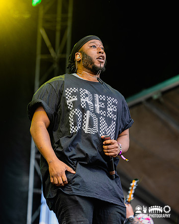 Bad Rabbits in concert