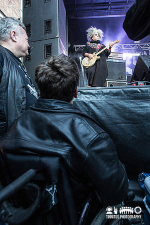 Melvins in concert