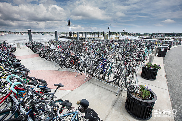 bikes at newport folk festival.