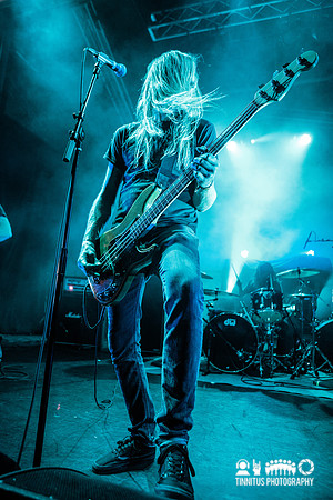 Anciients in concert