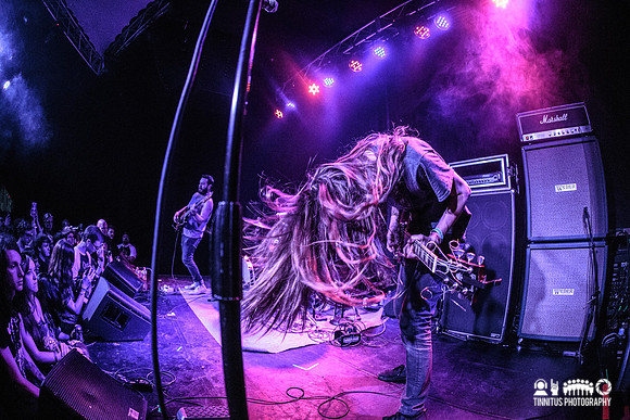 Elder in concert