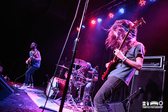 Elder in concert