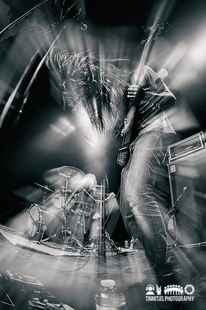 Elder in concert