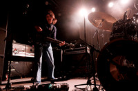Rhododendron in concert