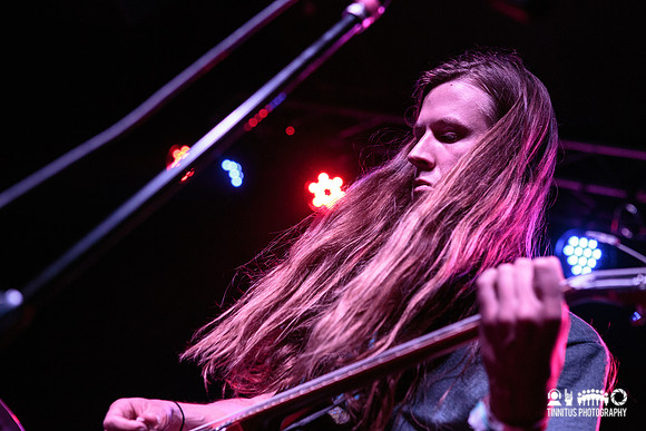 Elder in concert