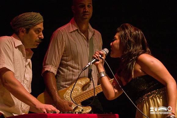 Dengue Fever in concert